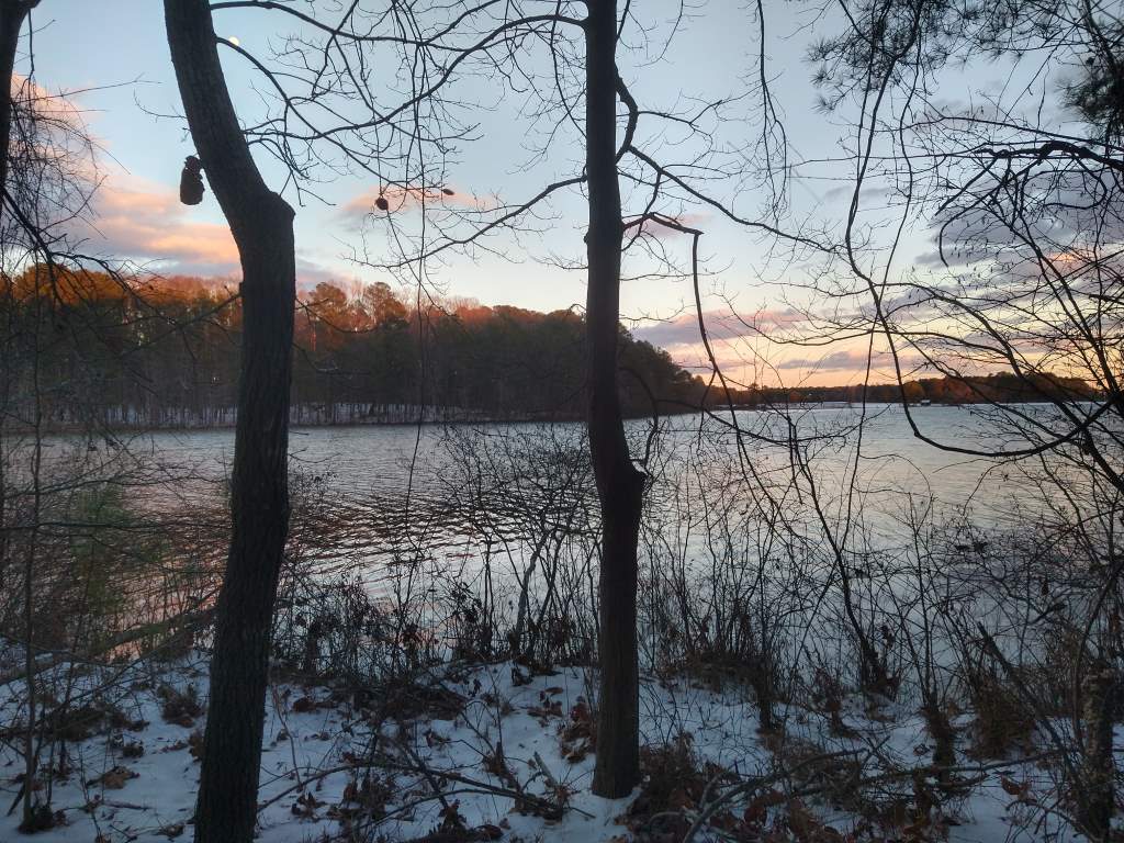 lake with trees and snow